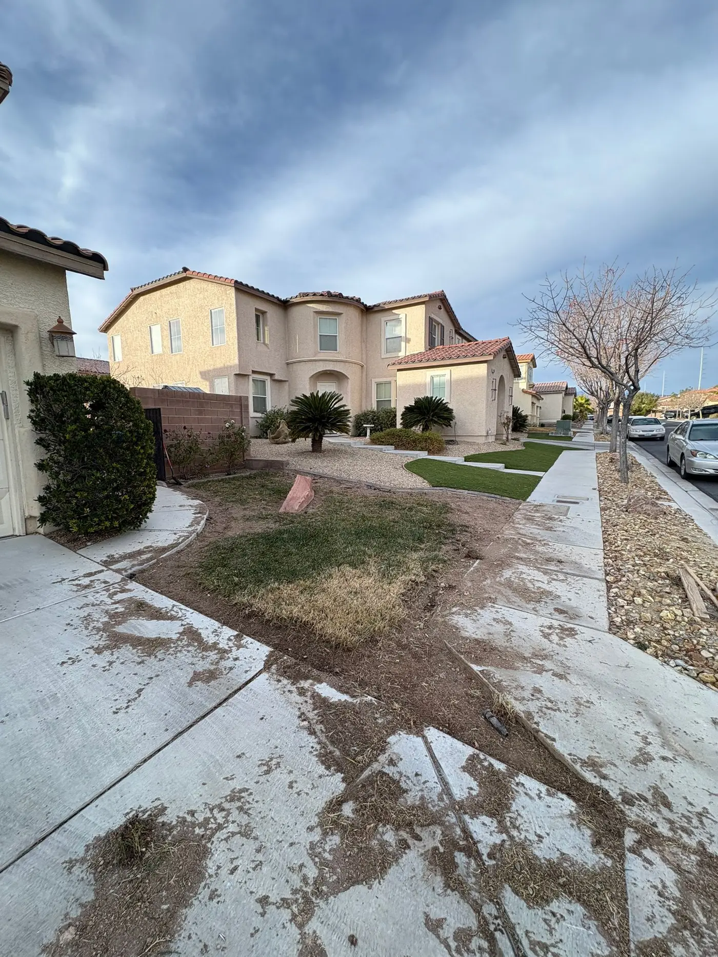 Front yard before turf conversion