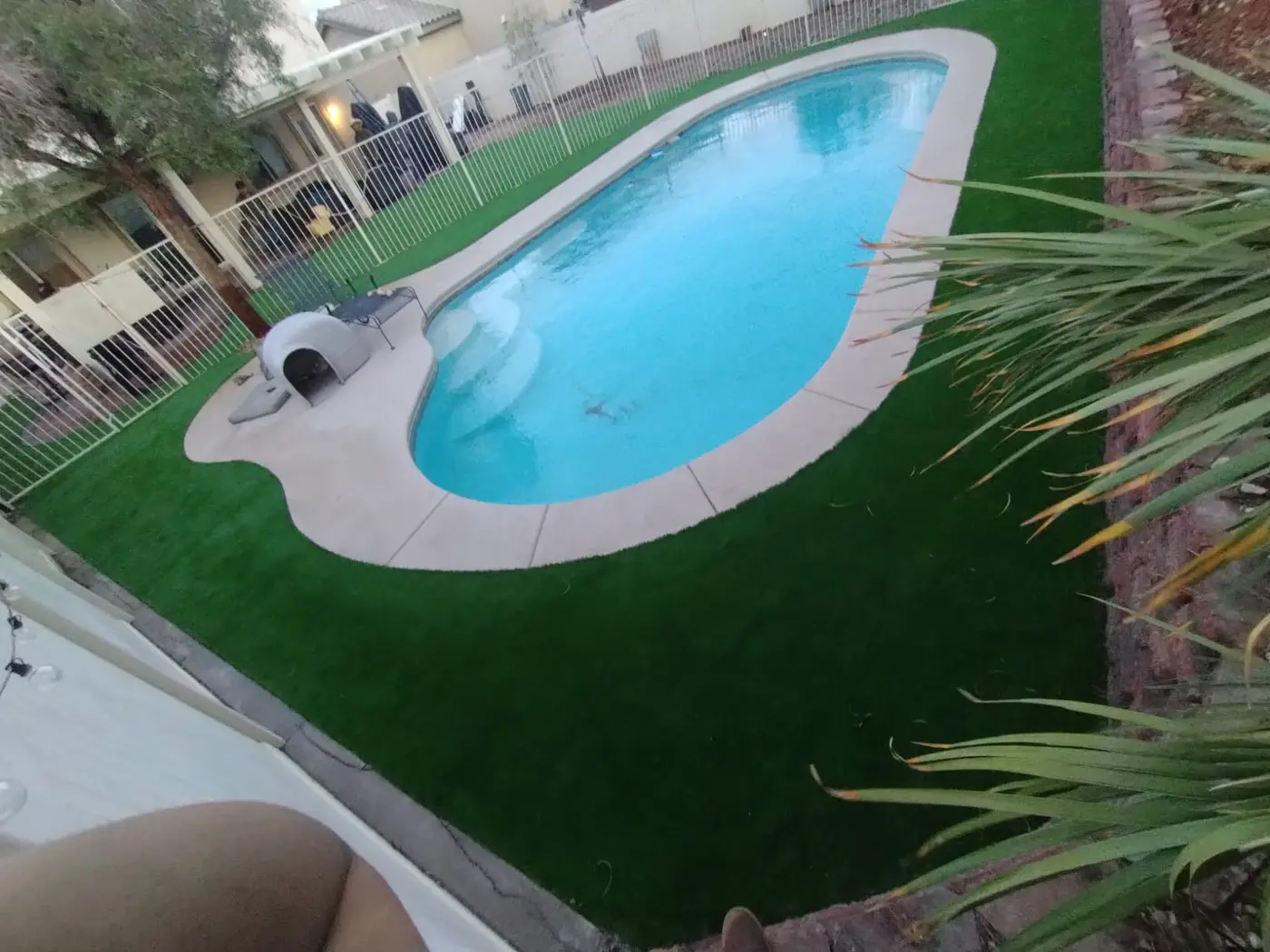 Artificial Turf project in Las Vegas by Pure Turf & Hardscape USA